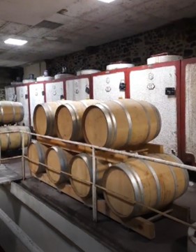 Wine Club