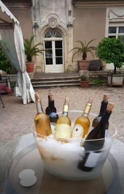 Wine Club