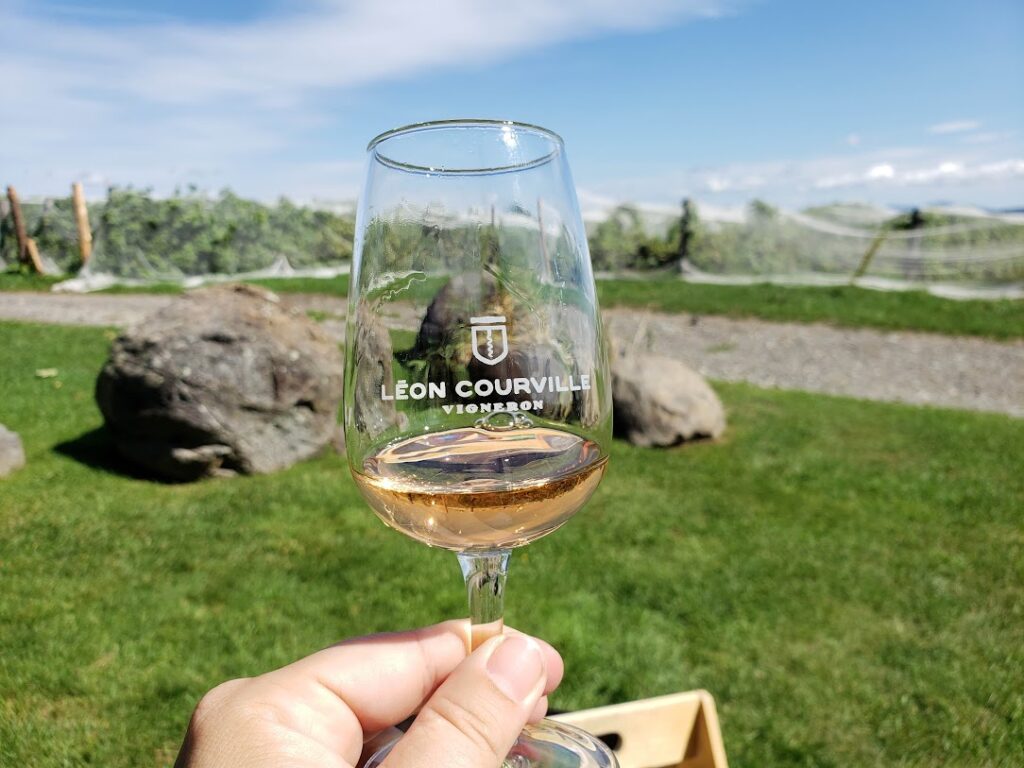 Wine Club